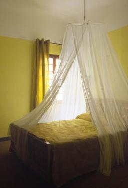 Hotel Saint Trophime Arles Ruang foto